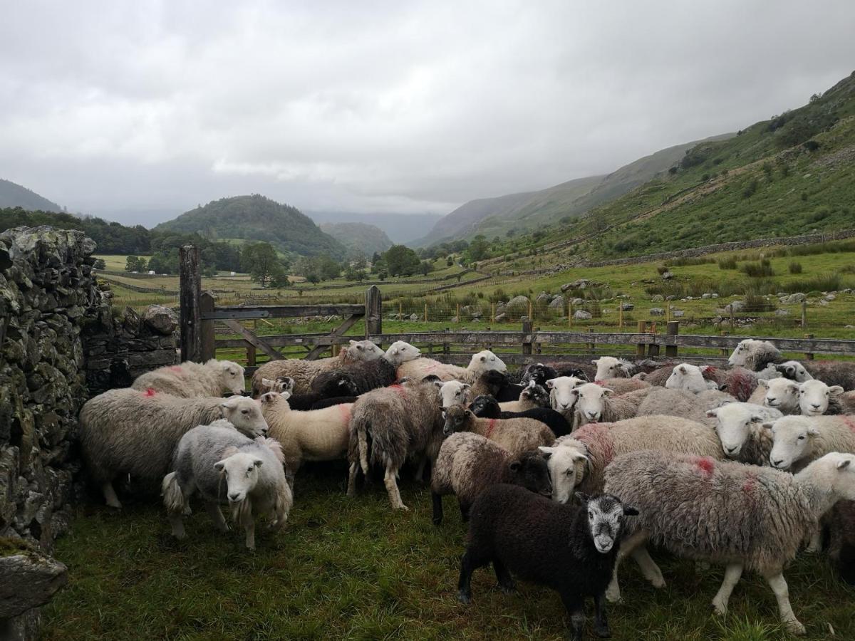 Stybeck Farm Villa Thirlmere Kültér fotó